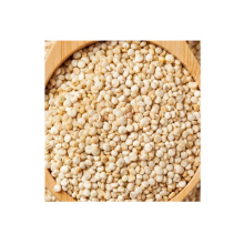 High protein content quality supplier quinoa pop